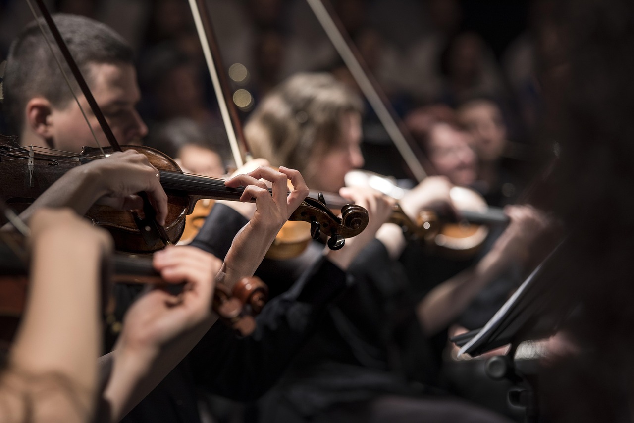 Violin Classes At Music College Orchestra